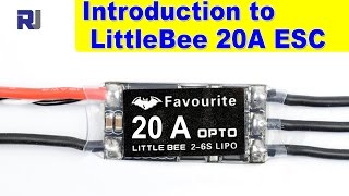 Introduction To Favourite Littlebee 20A Esc