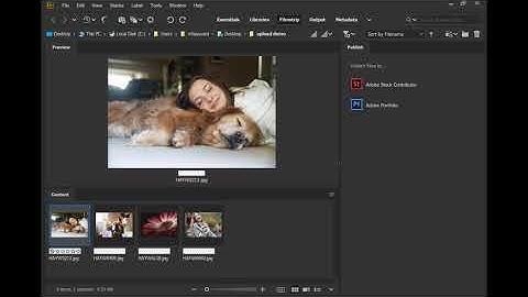How to upload your content to the Adobe Stock Contributor Portal
