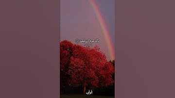 (قد افلح المؤمنون) القارئ راشد حليبة