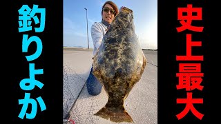 フェリー乗り場の横で釣りよか史上最大級の巨大ヒラメが釣れた