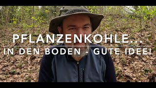 Pflanzenkohle ist (wahrscheinlich) eine richtig gute Idee! (Gute Ideen Serie 3)