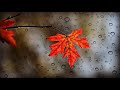 relaxing music,short meditation music,meditation music flute,meditation music 5 min,mind relax music