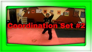 coordination set 2 kenpo karate
