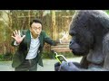 This Man Can Suddenly Hear Animals Talking & Shocked At What He Hears
