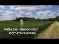 Kalászos fajtabemutató Hódmezővásárhely