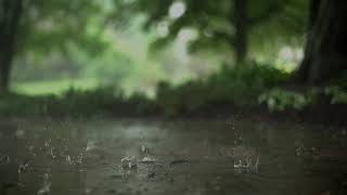 Download Lagu Tidur dengan suara hujan dan guntur | Suara santai insomnia dan gangguan tidur#relaxing MP3 Download Lagu Tidur dengan suara hujan dan guntur | Suara santai insomnia dan gangguan tidur#relaxing MP3
