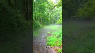 This is my kingdom #shorts #travel #love #thisismykingdom