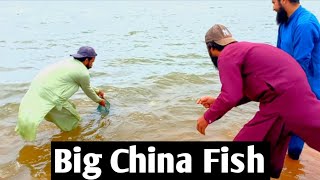 Shahpur Dam Catch Very Big Fish || شاہ پور ڈیم || @mateenakhtar9089