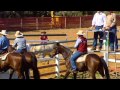 Draft Horses - ABC Landline 10/8/2008