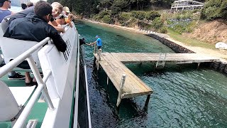 Mail Boat Cruise In Queen Charlotte Sound 5th January 2021| Beachcomber Cruises Picton | New Zealand