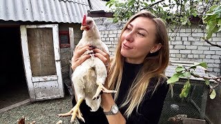 VLOG - Едем к родителям Наши курочки Занавески на выброс или можно исправить?