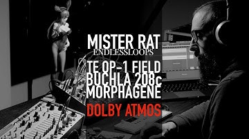 ENDLESSLOOPS / OP-1 Field - Make Noise - Buchla  / DOLBY ATMOS