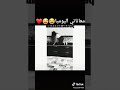 اجمل حالات واتس اب أيدي على راسك حبيني اجمل حالات واتس اب أيدي على راسك حبيني
