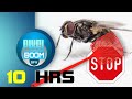 10HRS Anti Flies Repellent Ultrasonic Sound (50-60)Hz #chasefliesaway #noflies #stopflies #antiflies