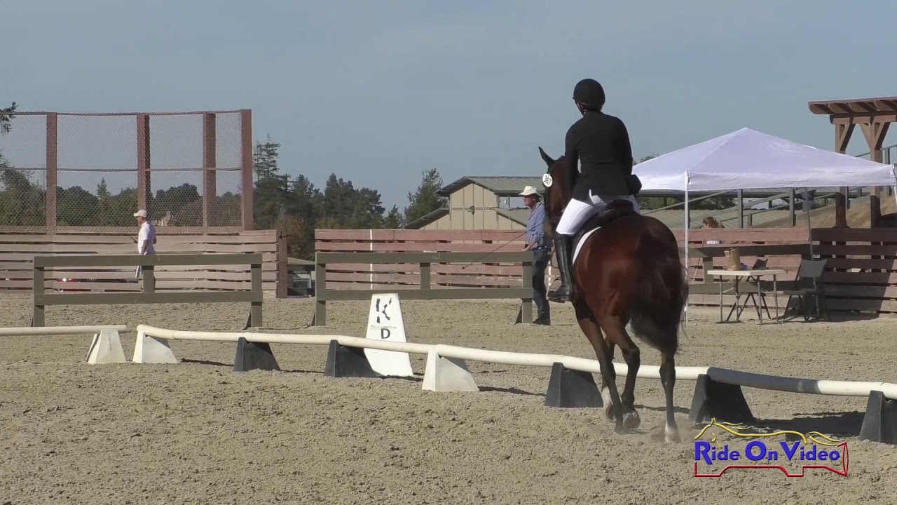 horseshoe bend 367D Ava Miller Tailored Elegance Intro Dressage Woodside Oct. 2019