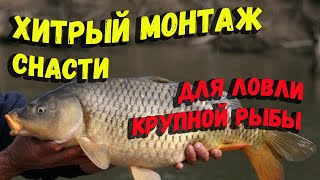 Хитрый монтаж снасти для ловли мирной рыбы