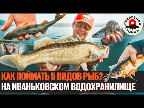 SECRET MOSCOW REGION RESERVOIR | Jig Fishing Without Panoptics | Secret Point