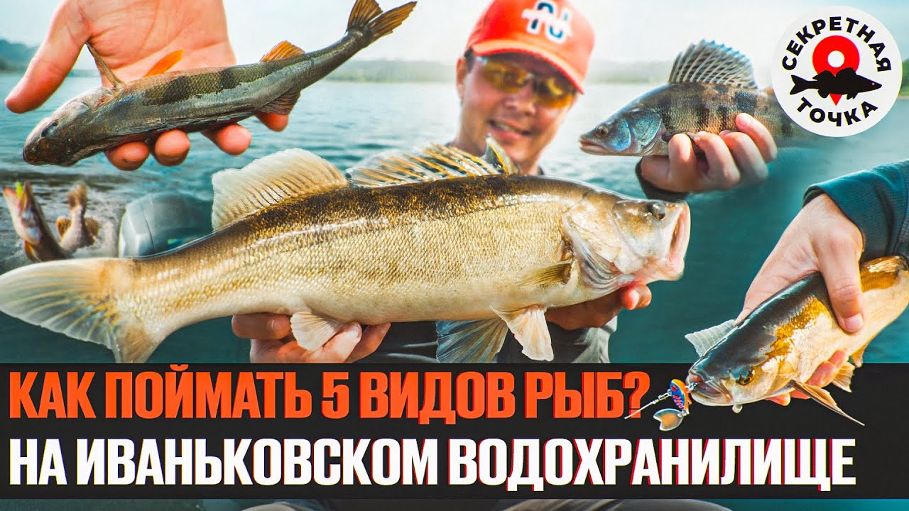 СЕКРЕТНОЕ ПОДМОСКОВНОЕ ВОДОХРАНИЛИЩЕ | Рыбалка на джиг без паноптикса | Секретная Точка