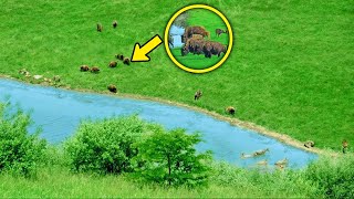 If The Drone Didn't Capture THIS No One Would Have Believed It