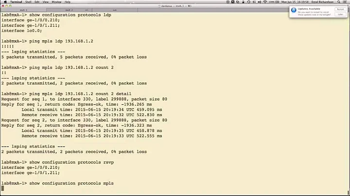 Ping MPLS for LSPs