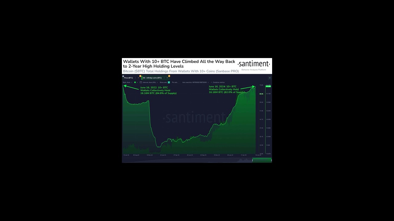 Bitcoin (BTC) Whales With 10+ Holding BTC Touch Two Year-High, BTC Price Rally Ahead?