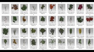 Plants ,Tree Iclone pack 1 ( free iclone plants pack)