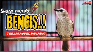 Download Lagu PANCINGAN TRUCUKAN GACOR ROPEL PANJANG‼️MASTERAN SUPER GANAS TRUCUKAN BAHAN PASTI CEPAT NYAUT GACOR MP3