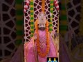 #baba #runicha_sarkar 📍 baba Ramdev mandir mukhya sodala Jaipur 🚩🚩🙏🙏 Jai baba ri 🚩🚩