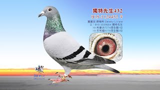 【特賣會】B19-3124432