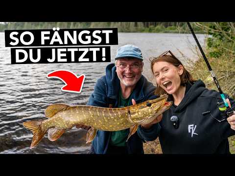 Raubfischangeln im HERBST 🍂 So fängst du JETZT Hecht, Barsch & Zander 🎣 thumbnail