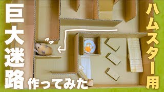 ダンボール工作！ハムスター巨大迷路no27