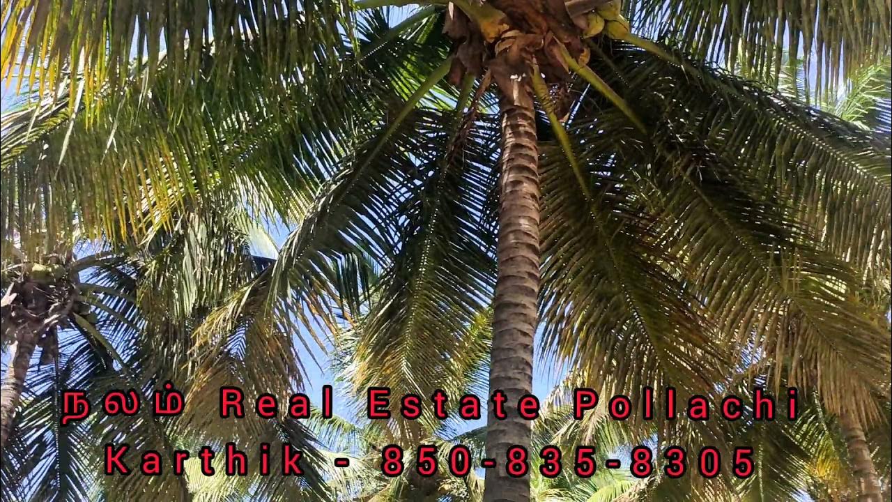 2 Acre 90 cent coconut farm land sale (with farm house) in aliyar main
