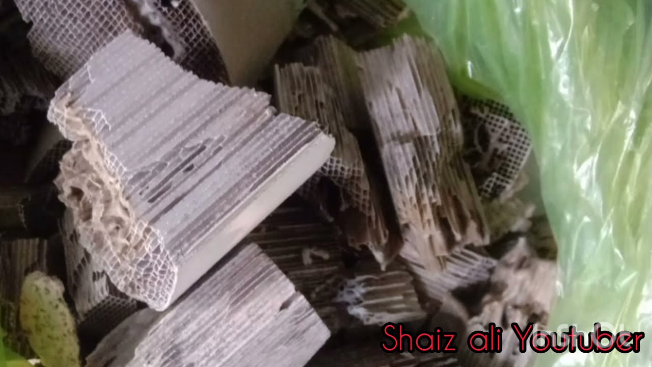 silencer Mitti ret catalytic converter information MRP...🙏 YouTube