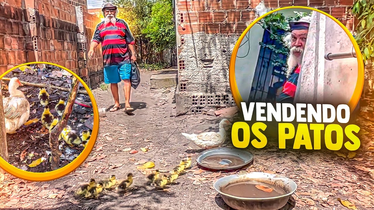 MANETIKIN TROLOU LUIZ DO SOM DIZENDO QUE IA VENDER OS PATOS 😂😂 | MANETIKIN