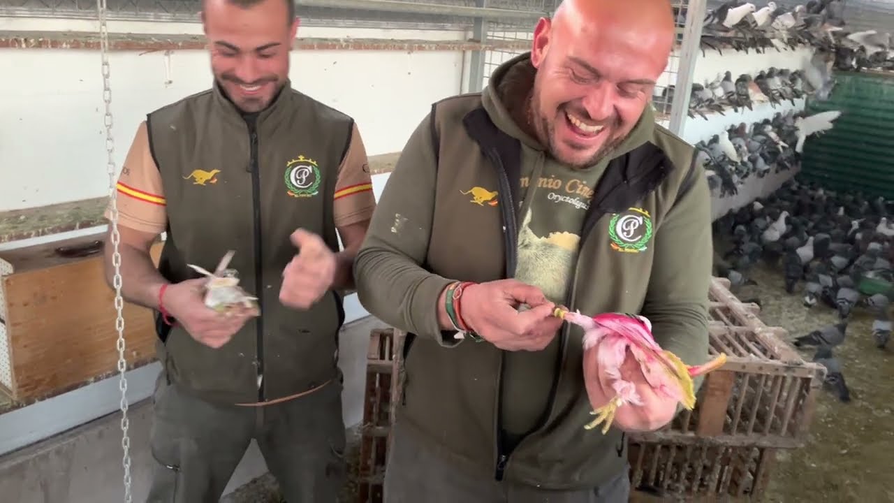 Camperos vamos a descargar las Palomas 😘👍♥️siempre parriba Mi Gente.