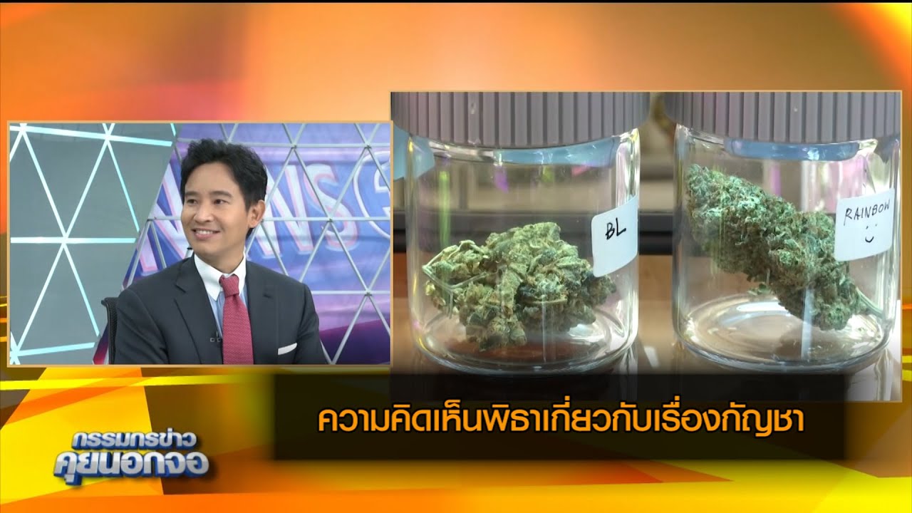 จุดยืนพิธาเกี่ยวกับเรื่องกัญชา