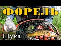 Форель. Щука. Рыбалка в Ленинградской области. Июнь 2023.