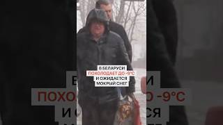 Беларусь ждут сильные морозы