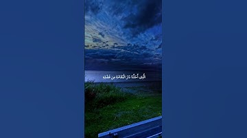 تلاوة هادئة بصوت الشيخ ناصر القطامي راحه نفسيه ❤️