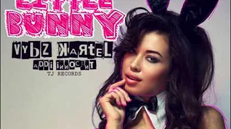 VYBZ KARTEL(ADDI INNOCENT) - PRETTY LITTLE BUNNY - TJ RECORDS - 21ST - HAPILOS DIGITAL VYBZ KARTEL(ADDI INNOCENT) - PRETTY LITTLE BUNNY - TJ RECORDS - 21ST - HAPILOS DIGITAL