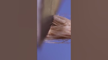 Jute String vs. Knife (Macro / Close-Up) #asmr #closeup #macro #macrovideo #asmrvideo #satisfying