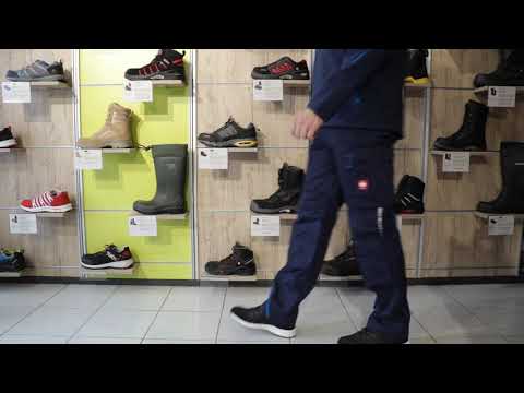 engelbert struass motion