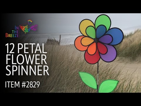Forward In-Spin Flower  Video maker, Spinning, Flowers