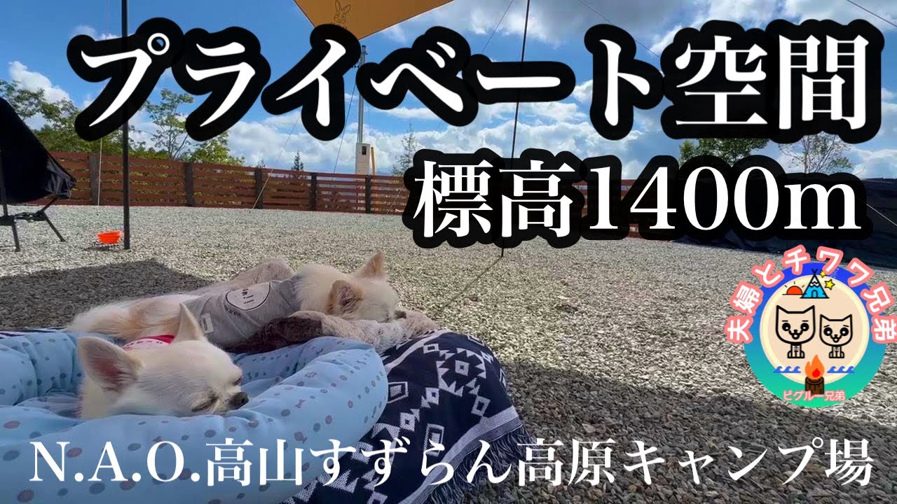 犬連れがのんびり過ごせるドッグフリーサイト【N.A.O.高山すずらん高原キャンプ場】②後編 岐阜名物を満喫&古い街並み高山散策【犬連れ夫婦キャンプ】