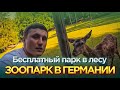 Германия🇩🇪 Дикий парк🐖🐎