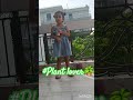 #Kids shorts#cute baby#funny kids#most viral short #youtubeshorts #plants #kids channel#shorts