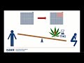 3-minute thesis presentation: Lucy Chester, King’s College London