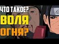 Что такое ВОЛЯ ОГНЯ?