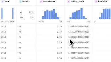 pygwalker for data profiling