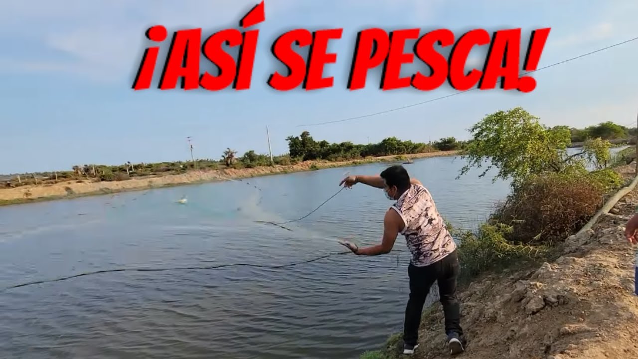 Este suscriptor les da una clase a TODOS sobre cómo se pesca. Quedamos asombrados